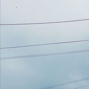 Meet your Posher, Luis